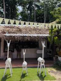 ในสวนศรี พัทลุงบ้านฉัน คาเฟ่กลางสวน ชิลๆ สบายๆ