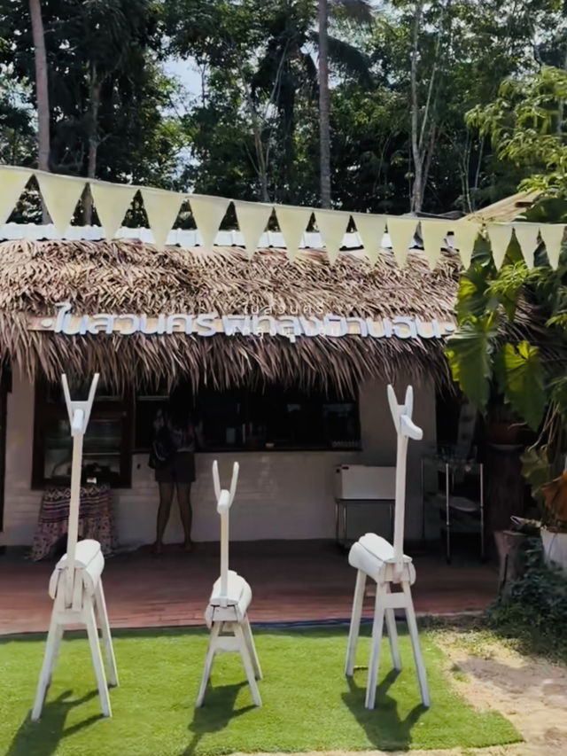ในสวนศรี พัทลุงบ้านฉัน คาเฟ่กลางสวน ชิลๆ สบายๆ
