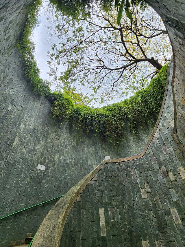22 Hours in Singapore: Walking Non Stop🇸🇬