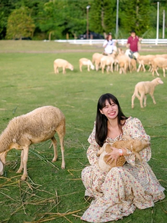 เที่ยวสวนผึ้งราชบุรี ที่ Alpacahill