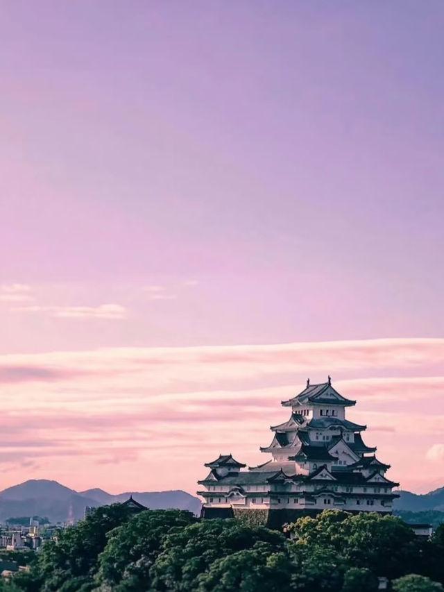 京都の隠れた絶景スポット！伊根舟屋＆天橋立の完全攻略 ✨
