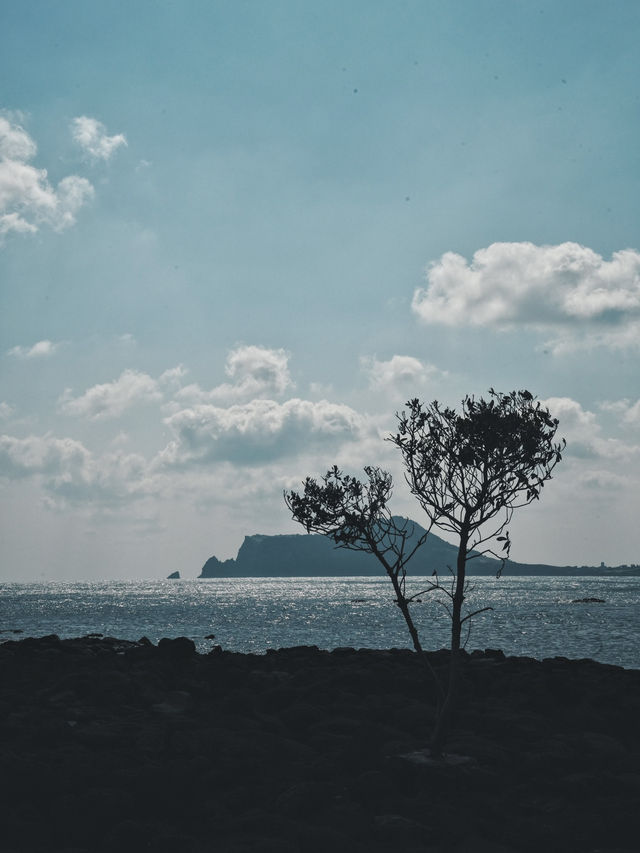 濟州旅行 一生必訪的夢幻離島-牛島 