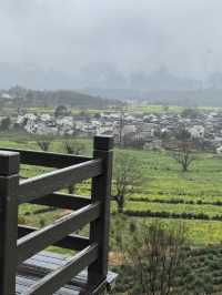 Misty Morning in Lu Village: A Painting Come to Life