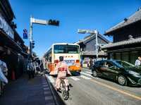 Solo Travel to Kawagoe: My One-Day Adventure from Tokyo🎏
