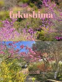 【福島×春旅】 70年以上かけ華族で作った花見山公園