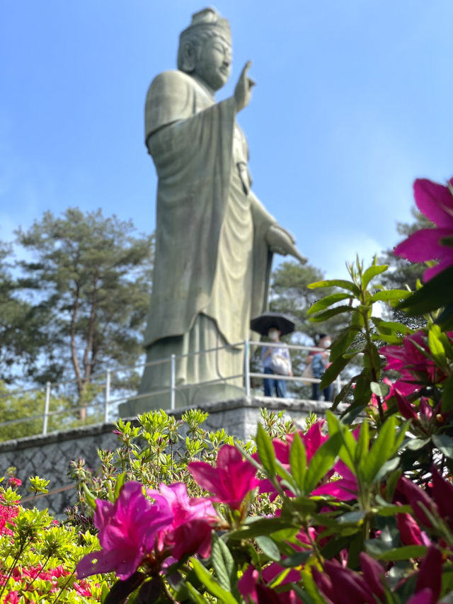 【東京×青梅】