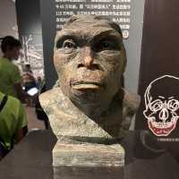 穿越千年文明：探索陝西考古博物館的瑰寶