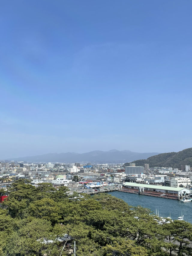 【静岡】富士山を望む海鮮の街・沼津