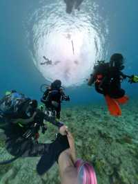 Fun diving 