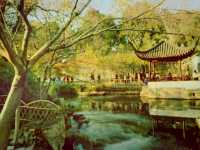 Serenity in Suzhou