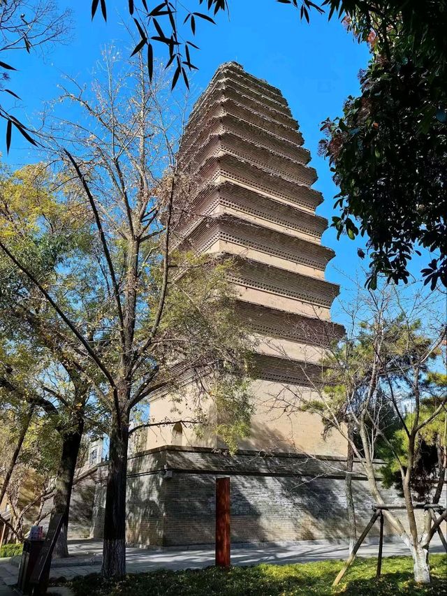 Stepping Into History: My Journey to the Majestic Big Wild Goose Pagoda