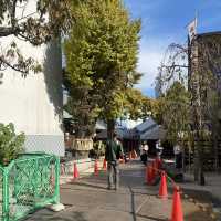 【福岡県博多🇯🇵櫛田神社】博多の総鎮守の櫛田神社へ参拝☺️