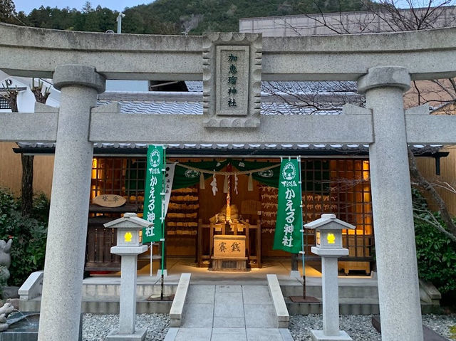 下呂溫泉老家 參拜青蛙大神🐸