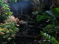 คาเฟ่แม่กำปองชลบุรี ติดอ่างคาเฟ่