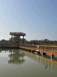 Yellow River Estuary Ecotourism Area – Gateway to China’s Mother River