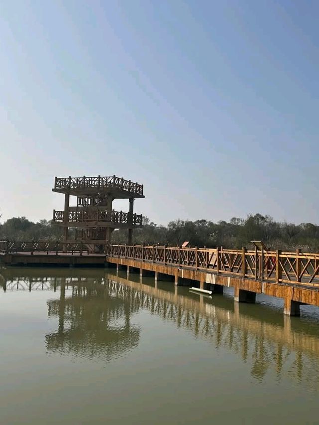 Yellow River Estuary Ecotourism Area – Gateway to China’s Mother River