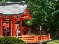 彩り豊かな境内を切り取る、根津神社スナップ📷💫