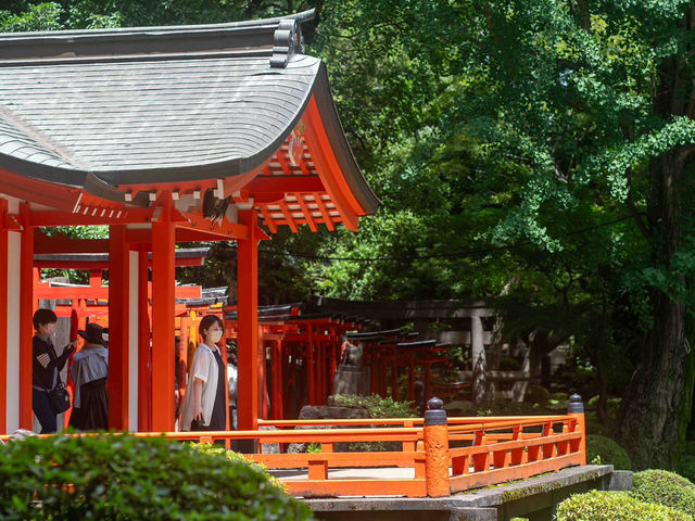 彩り豊かな境内を切り取る、根津神社スナップ📷💫