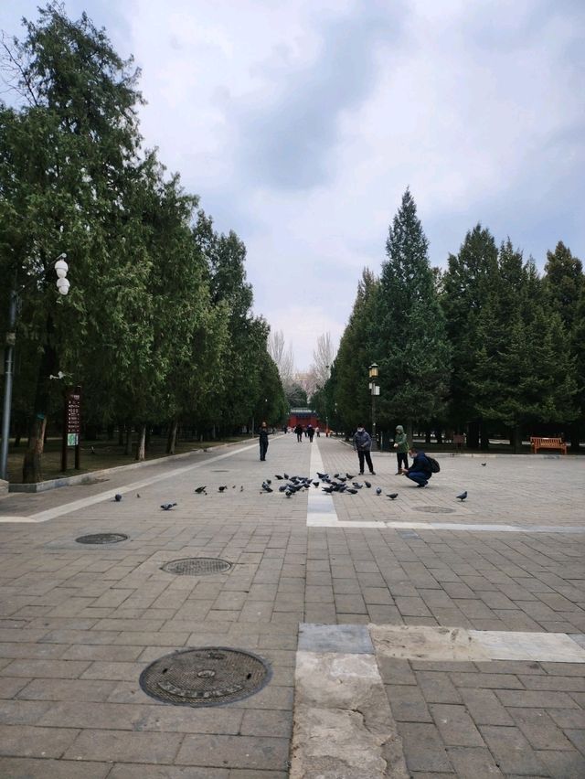 春遊-來看地壇的海