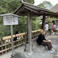 金閣寺的金色夢幻：探索京都的歷史瑰寶