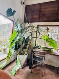 Karu – คาเฟ่เท่ๆ ในพัทลุง ที่นั่งแล้วฟีลดีเกินคาด