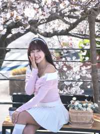 釜山🇰🇷超澎拜櫻花露台咖啡廳🌸