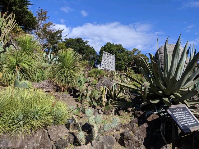 【伊豆】伊豆シャボテン動物公園で動物とサボテンと触れ合う