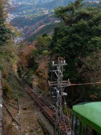 ついに頂上到達！神奈川・大山からの絶景パノラマ✨🏔️