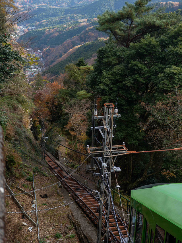 ついに頂上到達！神奈川・大山からの絶景パノラマ✨🏔️
