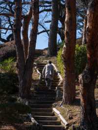 千葉公園で緑を楽しむ🌳