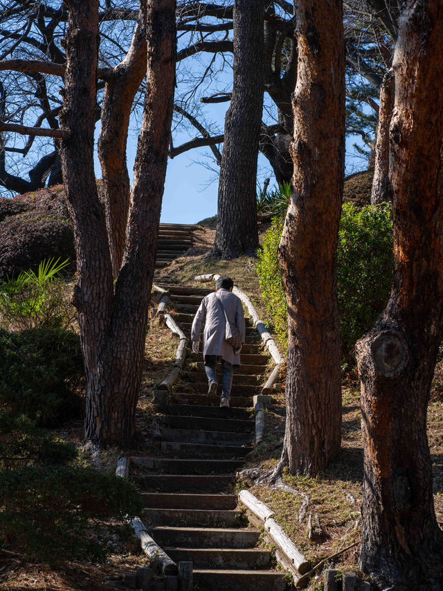 千葉公園で緑を楽しむ🌳