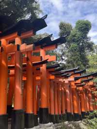 京都5間氣氛好、能量強的神社！感覺有點不一樣吧～