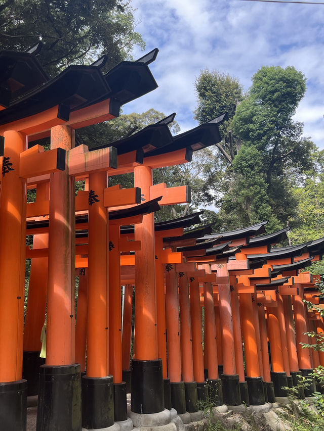 京都5間氣氛好、能量強的神社！感覺有點不一樣吧～