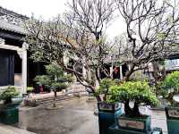 บ้านตระกูลเฉิน 