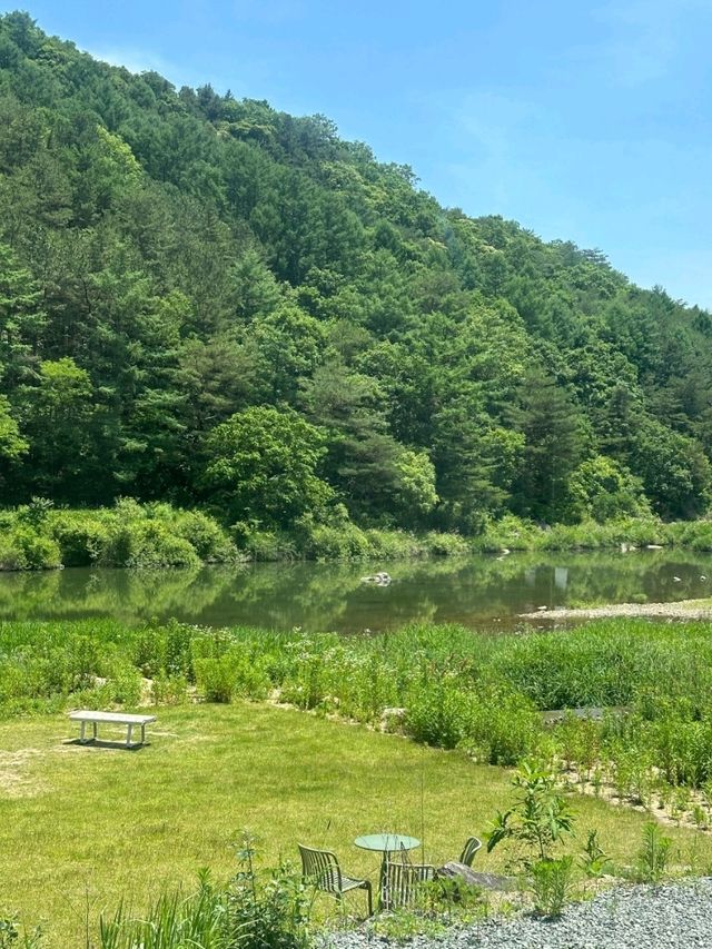 홍천 여행 🍪🫖써라운드 슬로우🏠