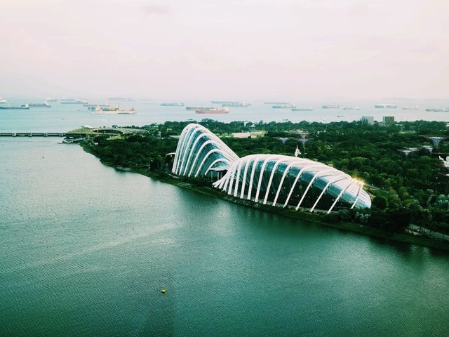 Sky-High Views: Experiencing the Singapore Flyer