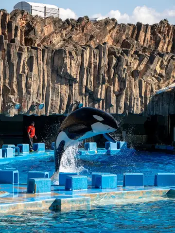 名古屋港水族館