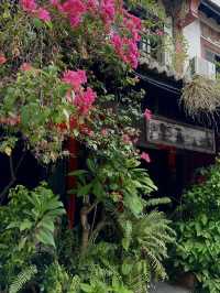 A Hidden Oasis in Melaka: The Baboon House Experience