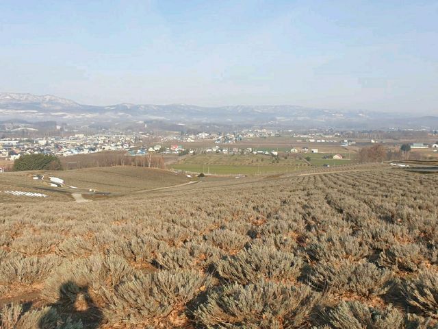 후라노. 히노데공원