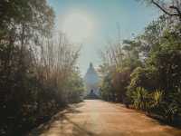 วัดป่าวิเวกธรรมชาน์ วัดสาขาที่ 7 ของวัดหนองป่าพง