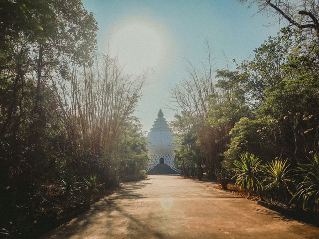 วัดป่าวิเวกธรรมชาน์ วัดสาขาที่ 7 ของวัดหนองป่าพง