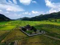 風，吹到了廣渡