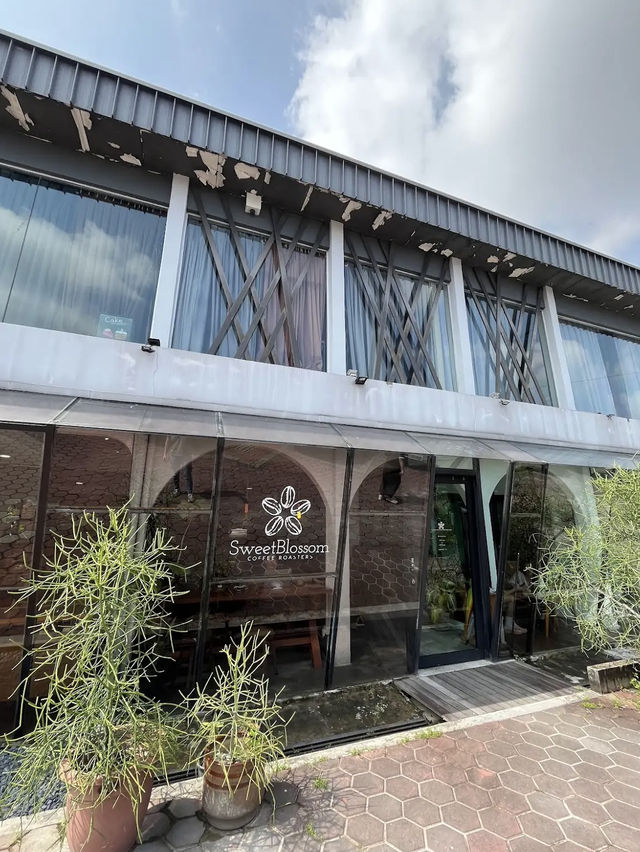 Exceptional Brews at Sweet Blossom Coffee Roasters, Johor Bahru