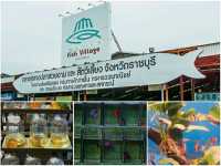 เที่ยวโพธาราม-บ้านโป่ง ไปเช้า-เย็นกลับ