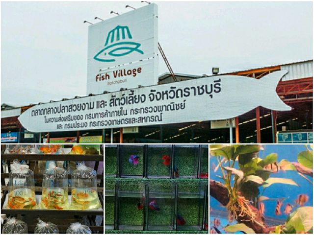 เที่ยวโพธาราม-บ้านโป่ง ไปเช้า-เย็นกลับ