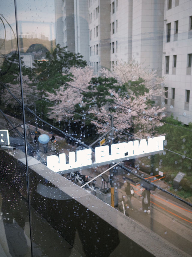 🇰🇷首爾 漢南洞 韓潮控的天堂！一條街逛遍韓國潮牌🖤👟