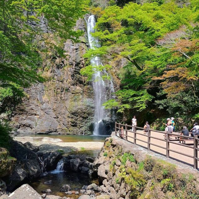 箕面瀑布（Minoh Falls）