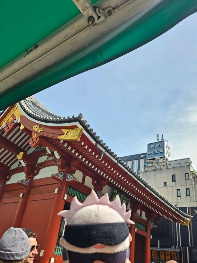  주술회전과 함께하는 도쿄 벚꽃여행🌸