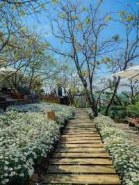 Persimmon Cafe in Dalat