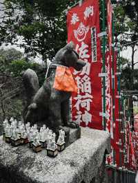 鎌倉充滿狐狸的神秘神社｜佐助稻荷大社！